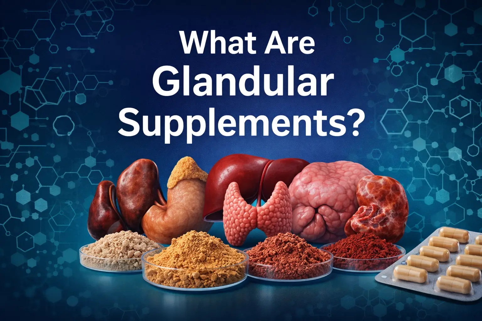 What Are Glandular Supplements