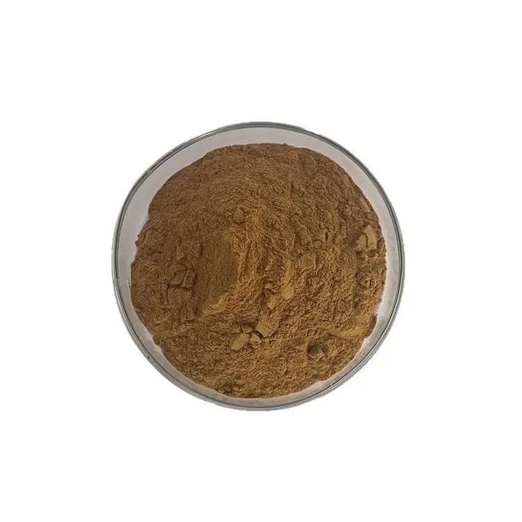 Bulk Bovine Heart Powder Manufacturer