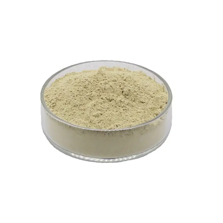 Bulk Bovine Thymus Powder Manufacturer