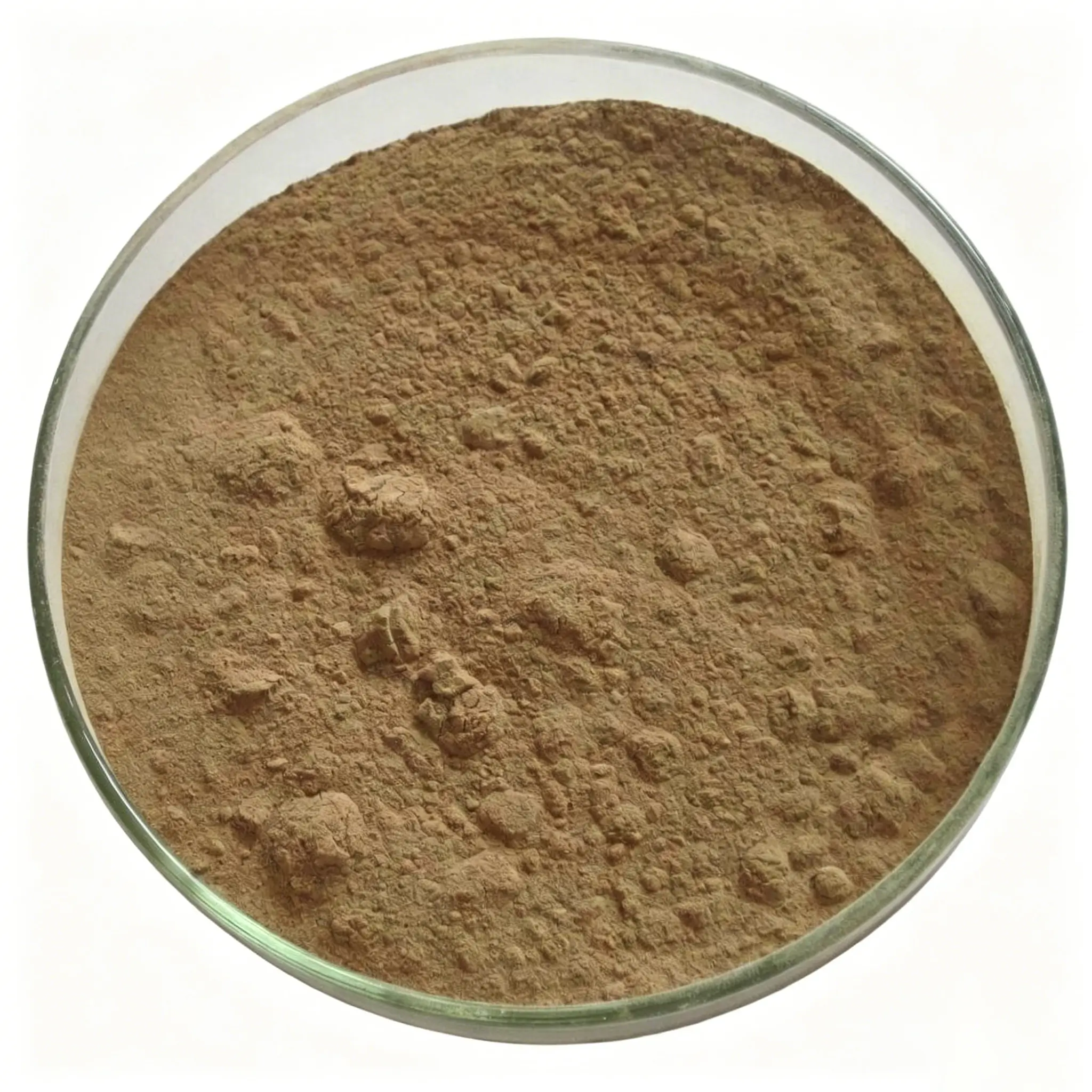 Bulk Chicken Liver Powder Manufacturer