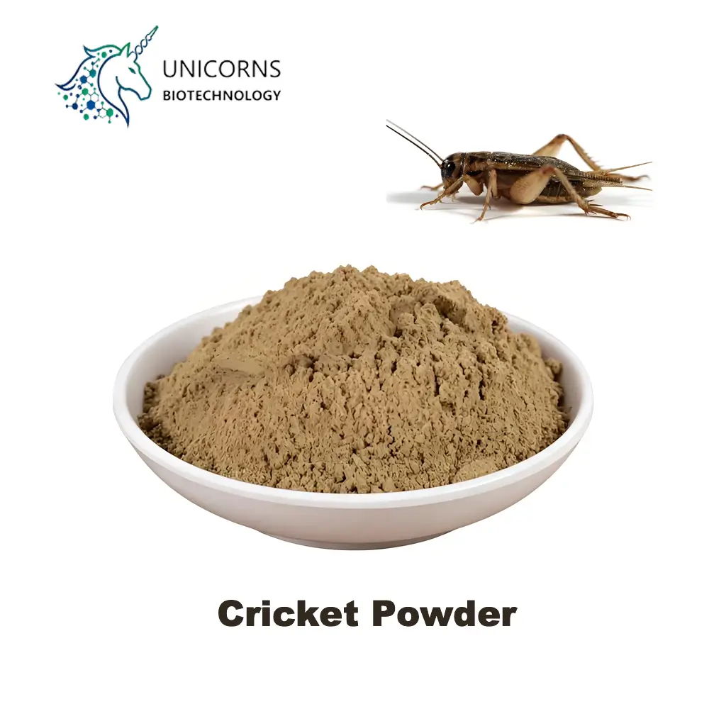 Bulk Cricket Powder