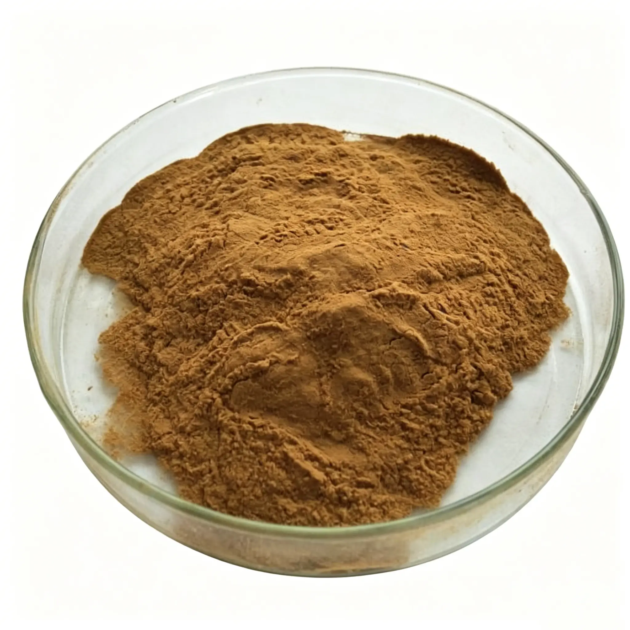 Bulk Deer Brain Powder Supplier in China