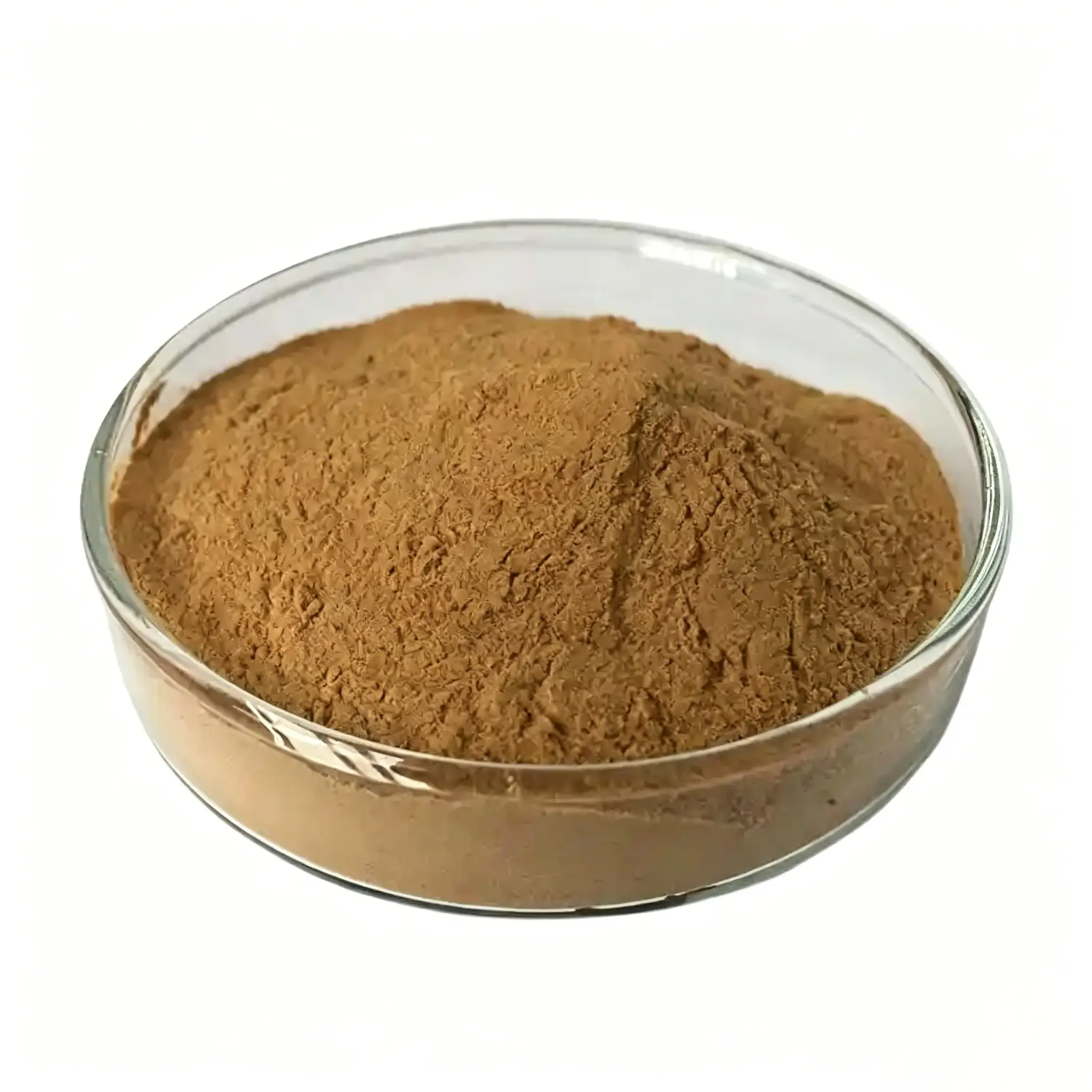 Bulk Deer Kidney Powder Supplier in China