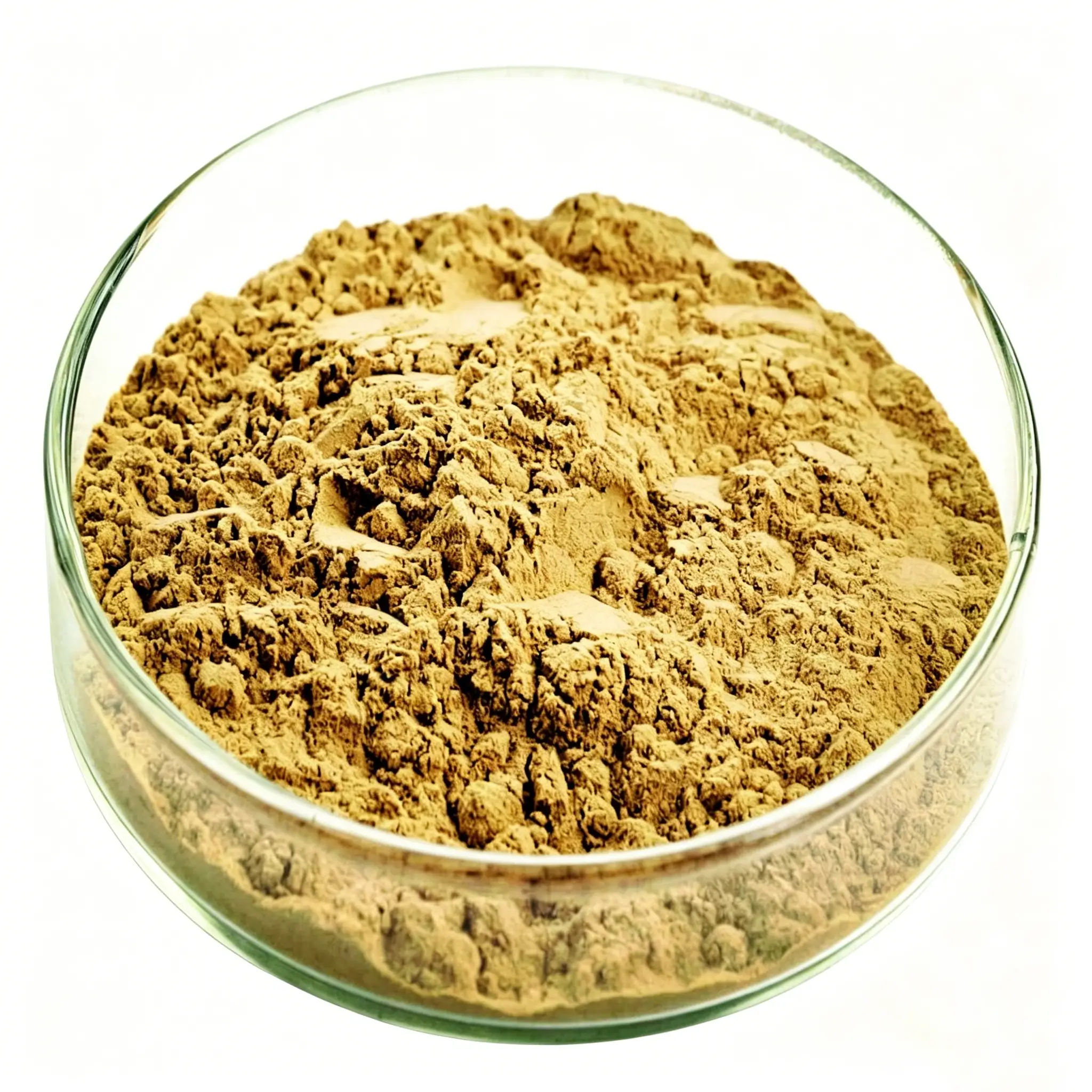 Bulk Deer Pizzle Powder Supplier in China