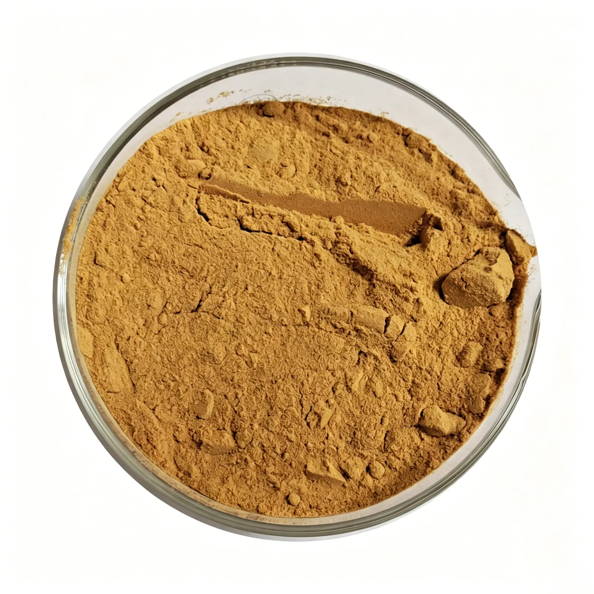 Bulk Duck Gizzard Powder Supplier in China