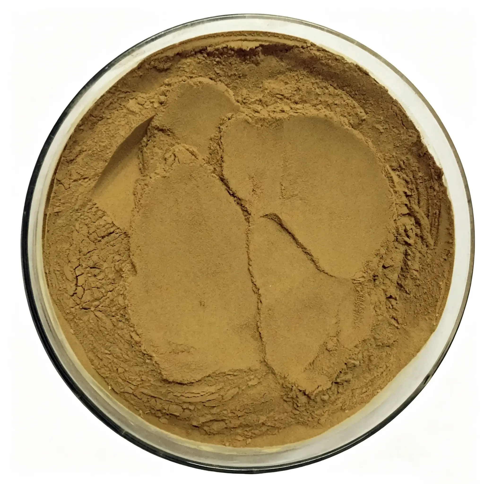 Bulk Goose Intestine Powder Supplier in China