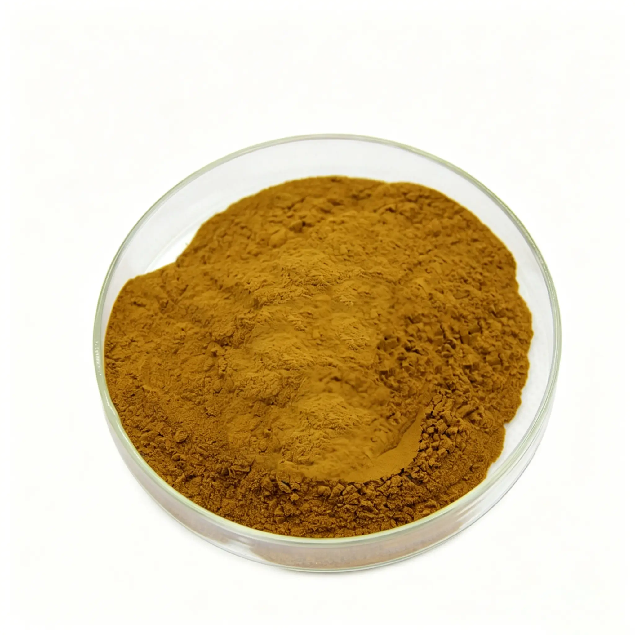 Bulk Horse Brain Powder Supplier in China