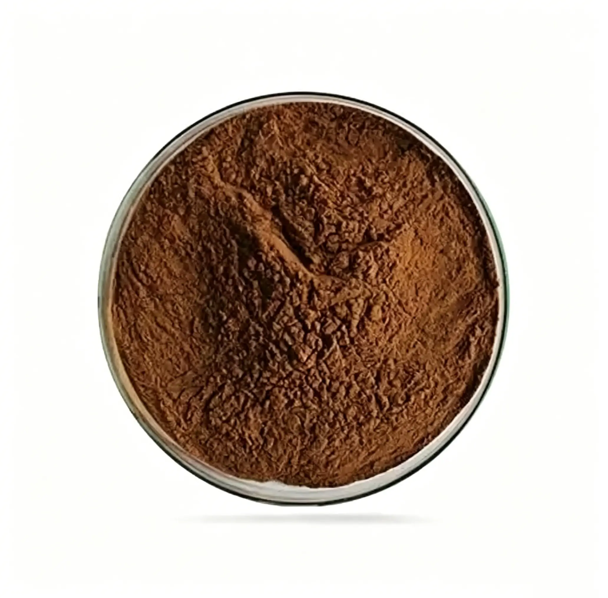 Bulk Horse Lung Powder Supplier in China