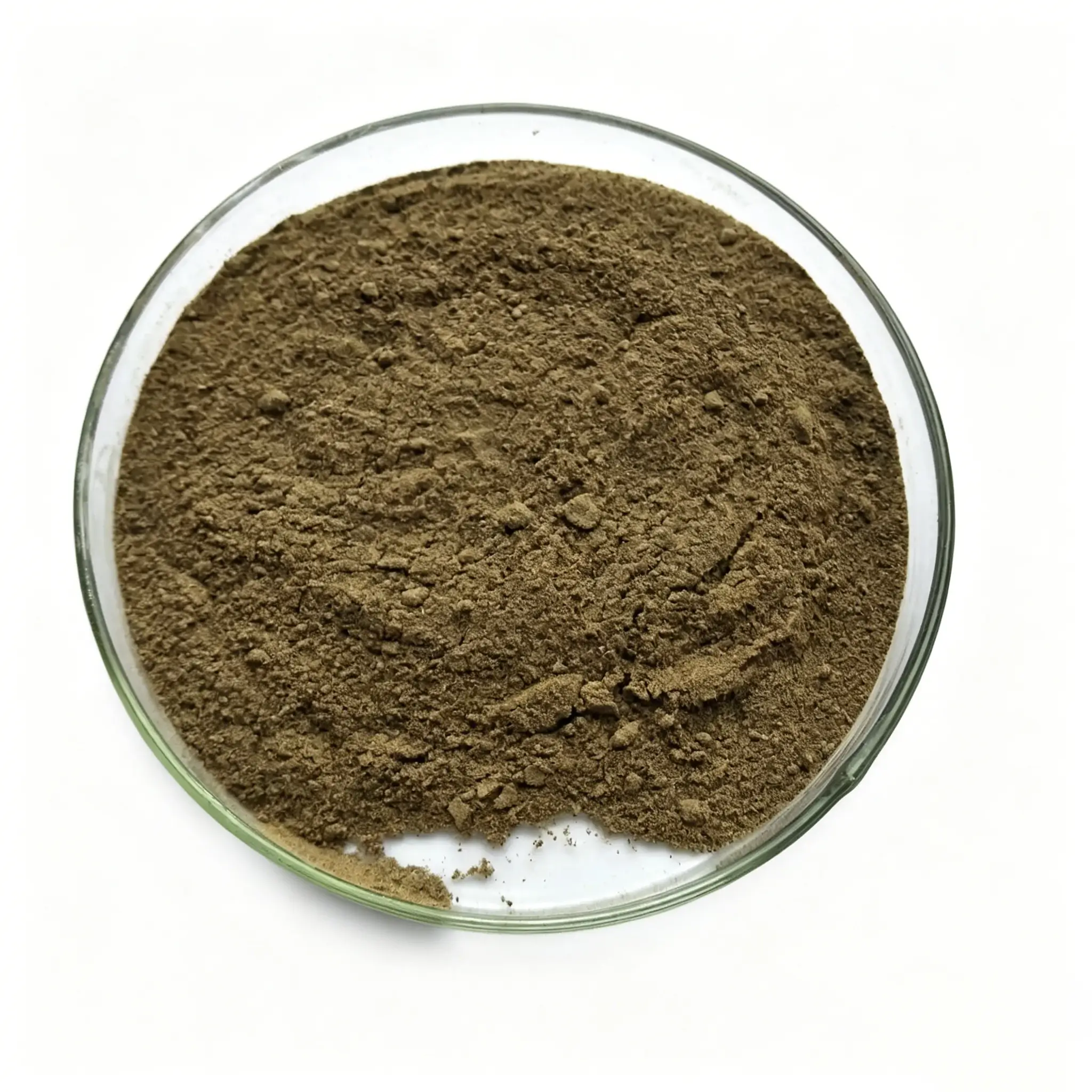 Bulk Horse Pizzle Powder Supplier in China