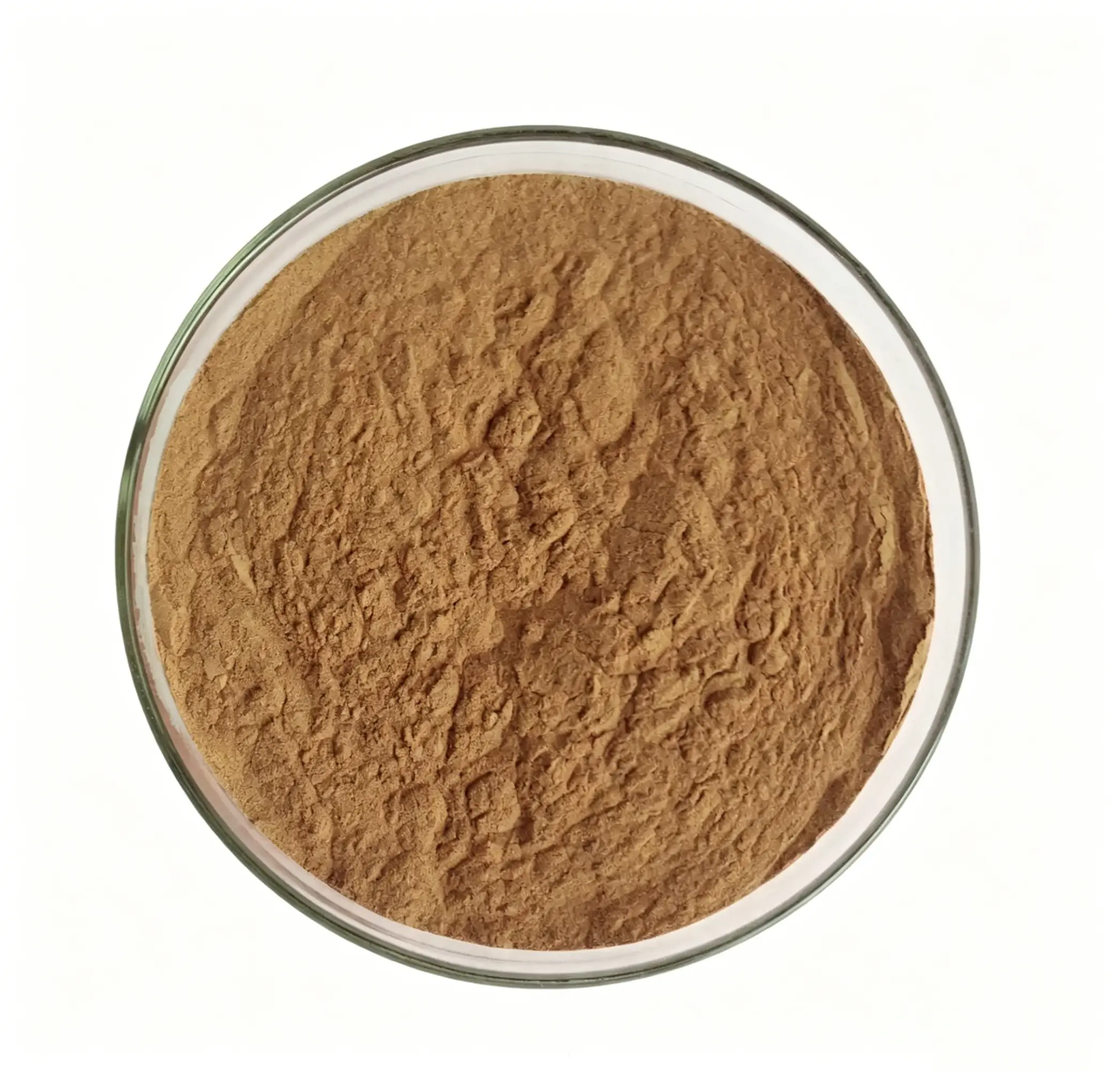 Bulk Sheep Bone Marrow Powder Supplier in China