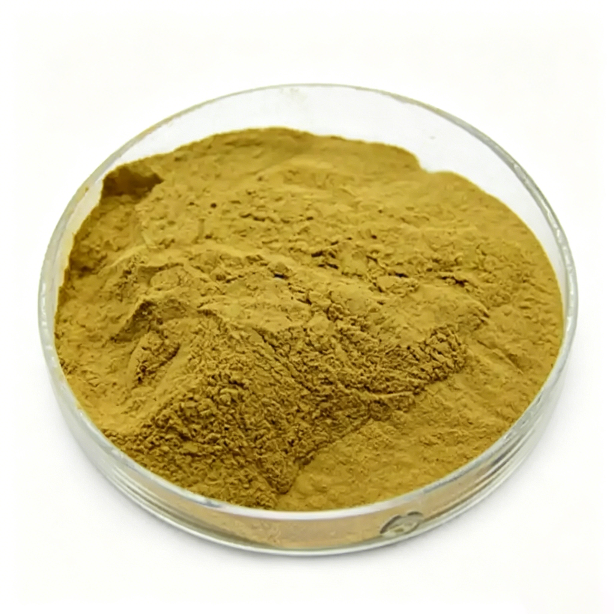 Bulk Sheep Brain Powder Supplier in China