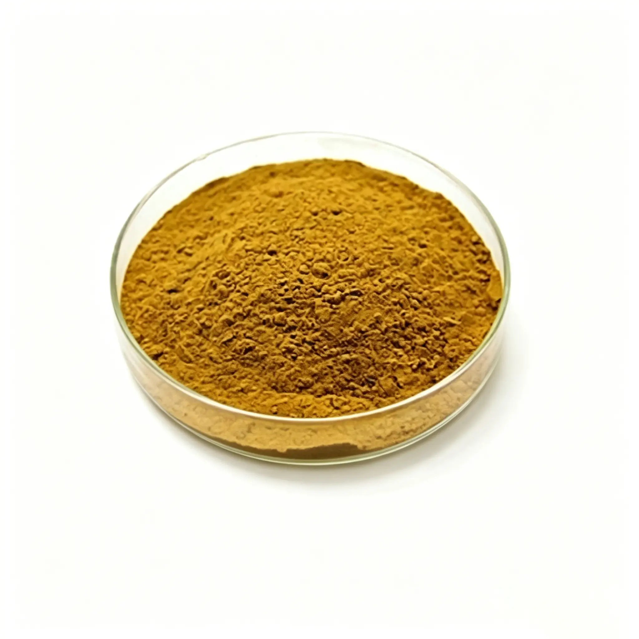 Bulk Sheep Heart Powder Supplier in China