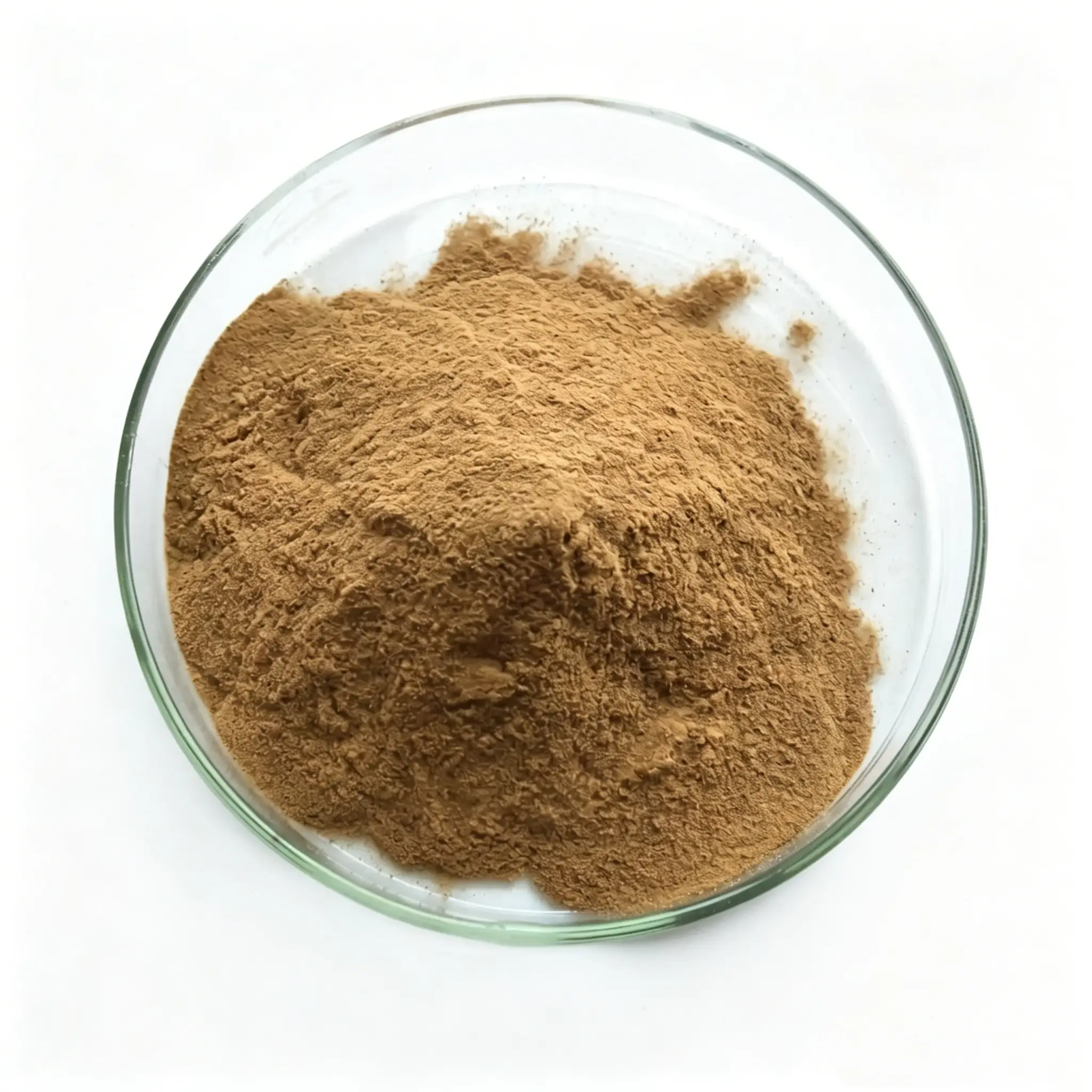 Bulk Sheep Kidney Powder Supplier in China