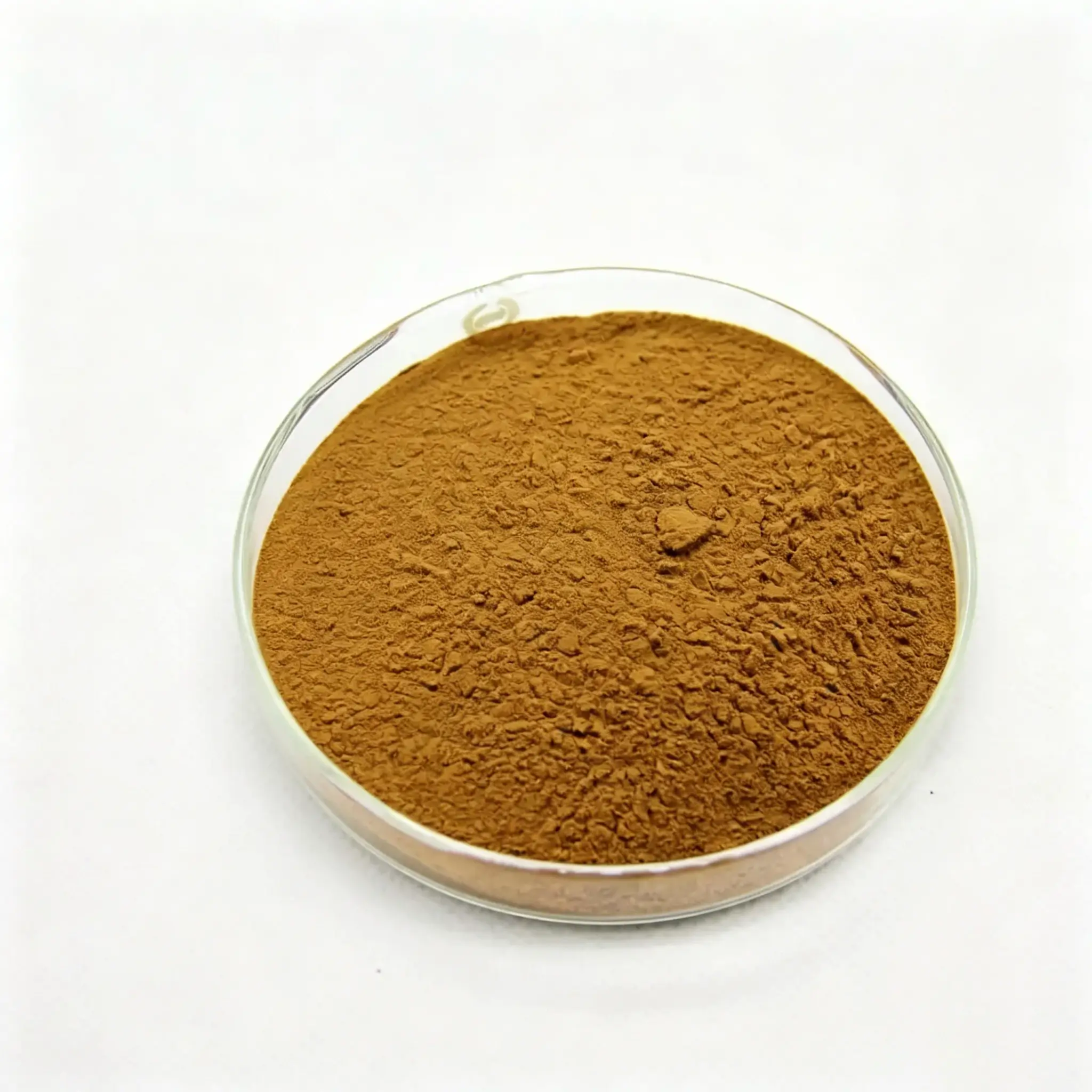 Bulk Sheep Liver Powder Manufacturer in China