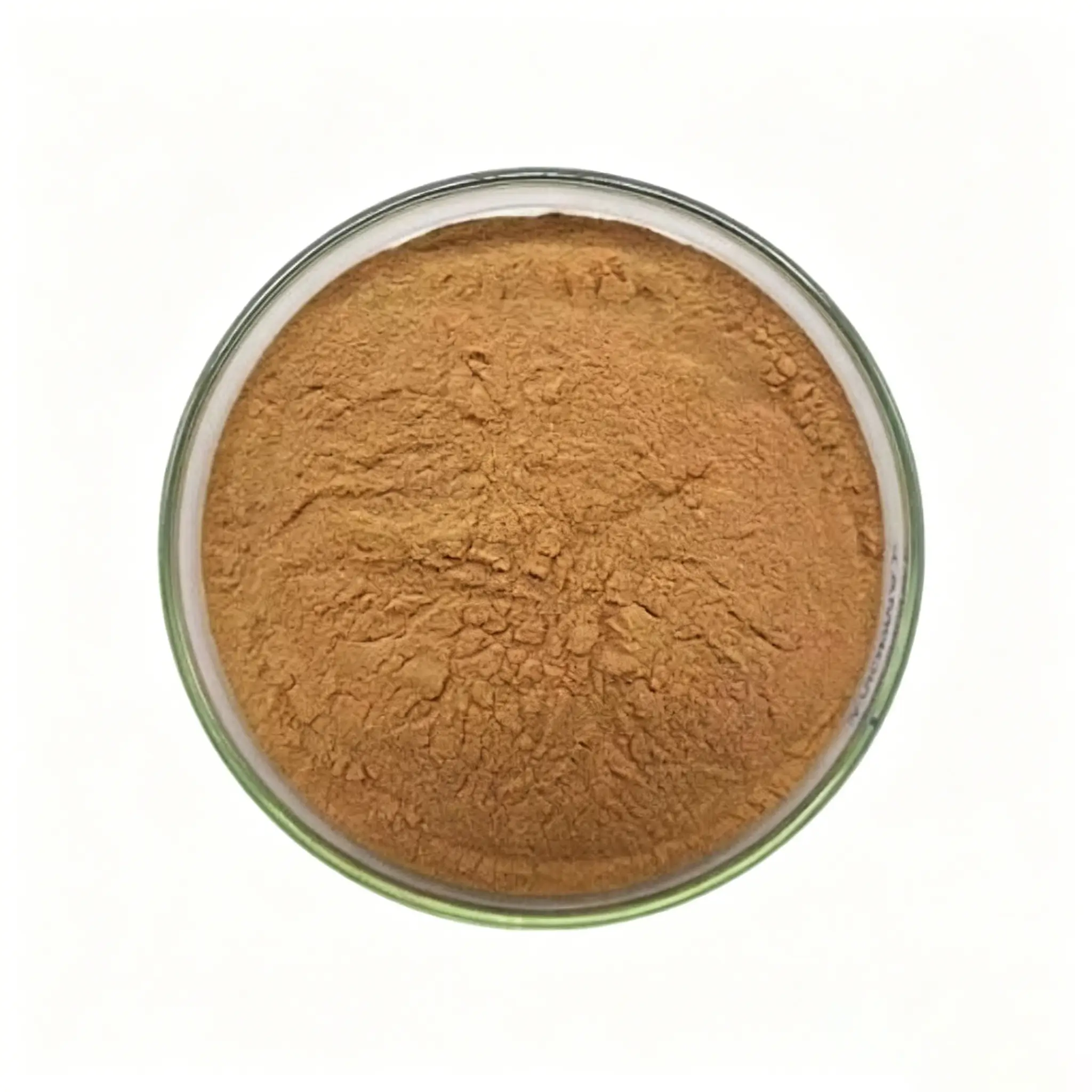 Bulk Sheep Mammary Powder manufacturer in China