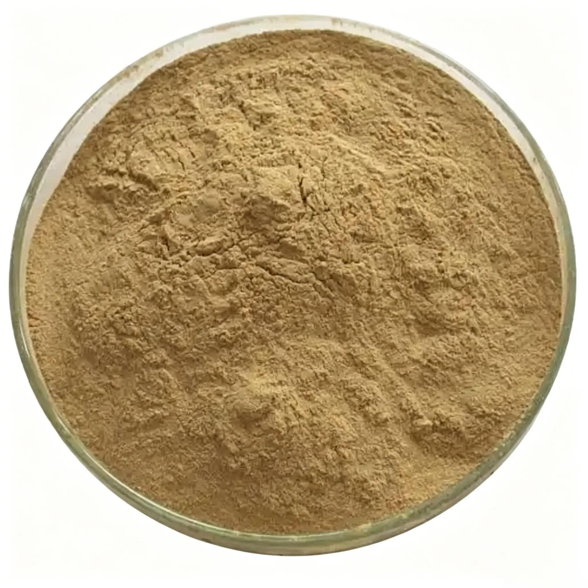 Bulk Sheep Pancreas Powder supplier in China