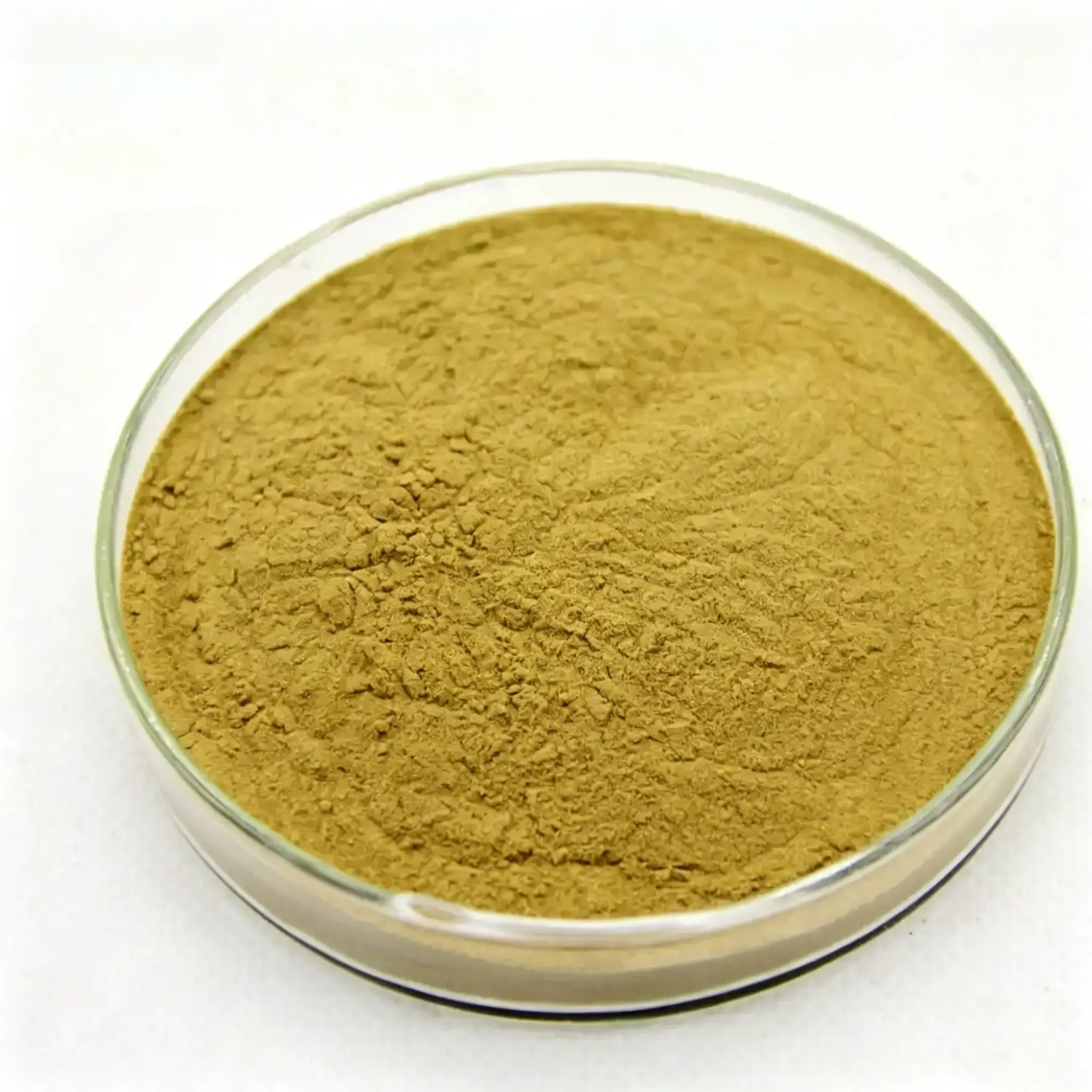 Bulk Sheep Prostate Powder supplier in China