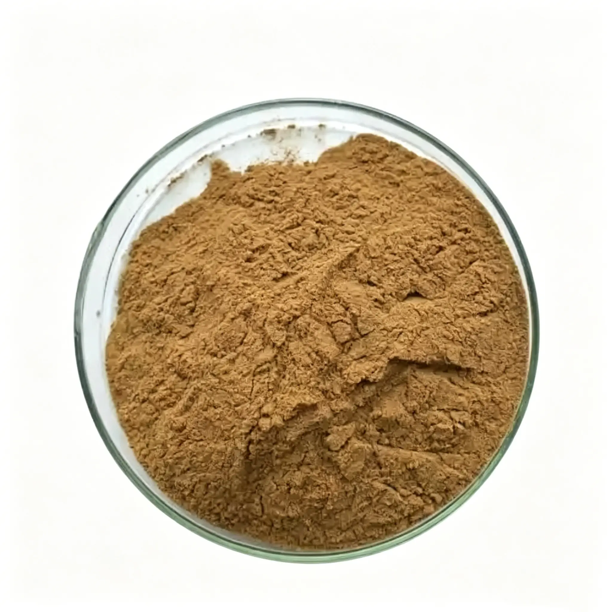 Bulk Sheep Spleen Powder Manufacturer in China