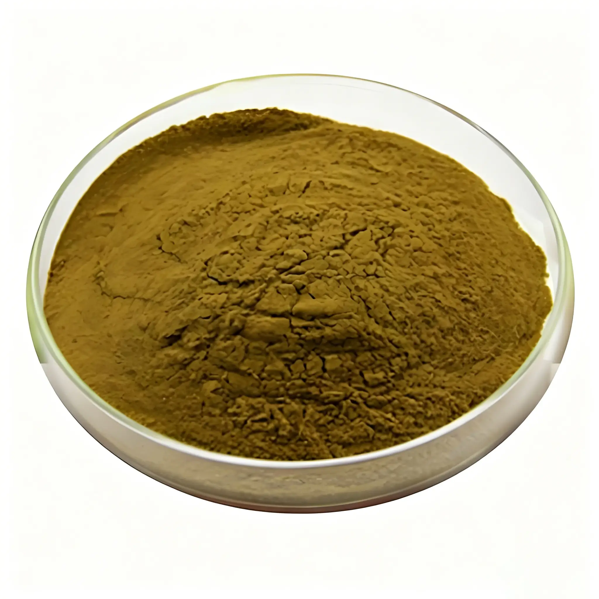Bulk Sheep Uterus Powder supplier in China