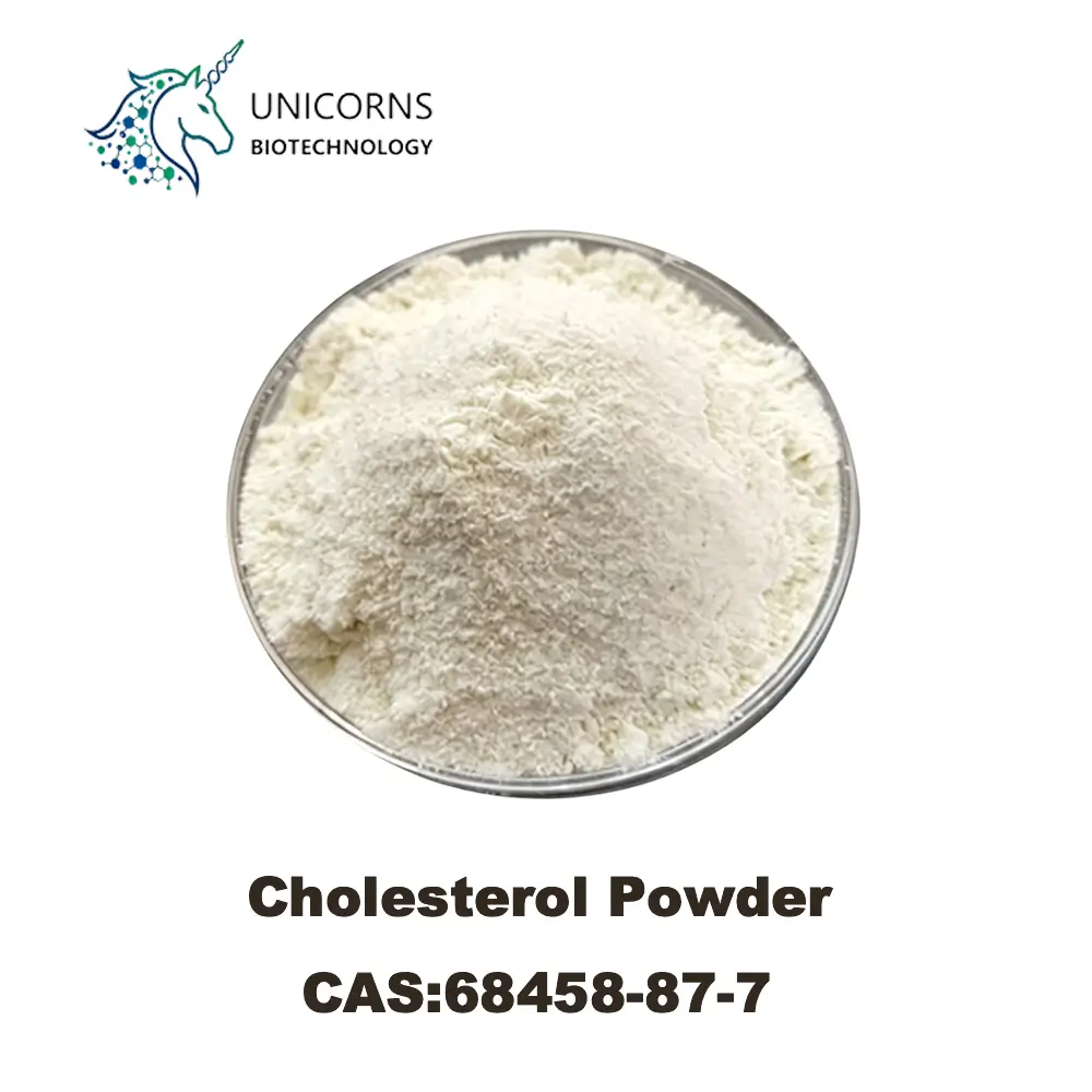 Bulk Cholesterol Powder Manufacturer