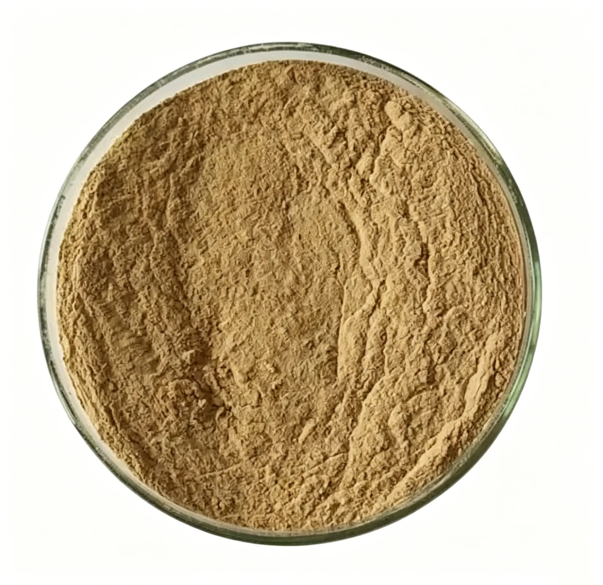 Wholesale Horse Placenta Powder Manufacturer in China