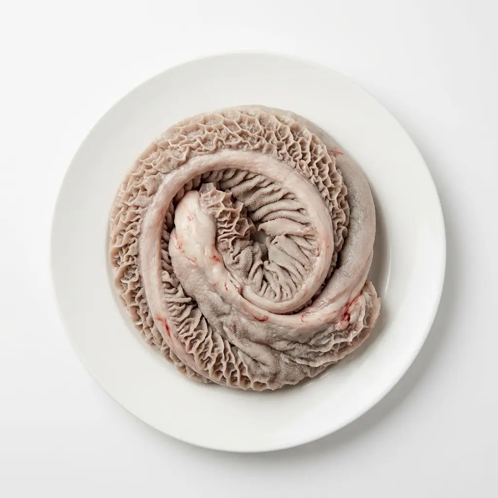 Wholesale Horse Stomach Powder Manufacturer in China