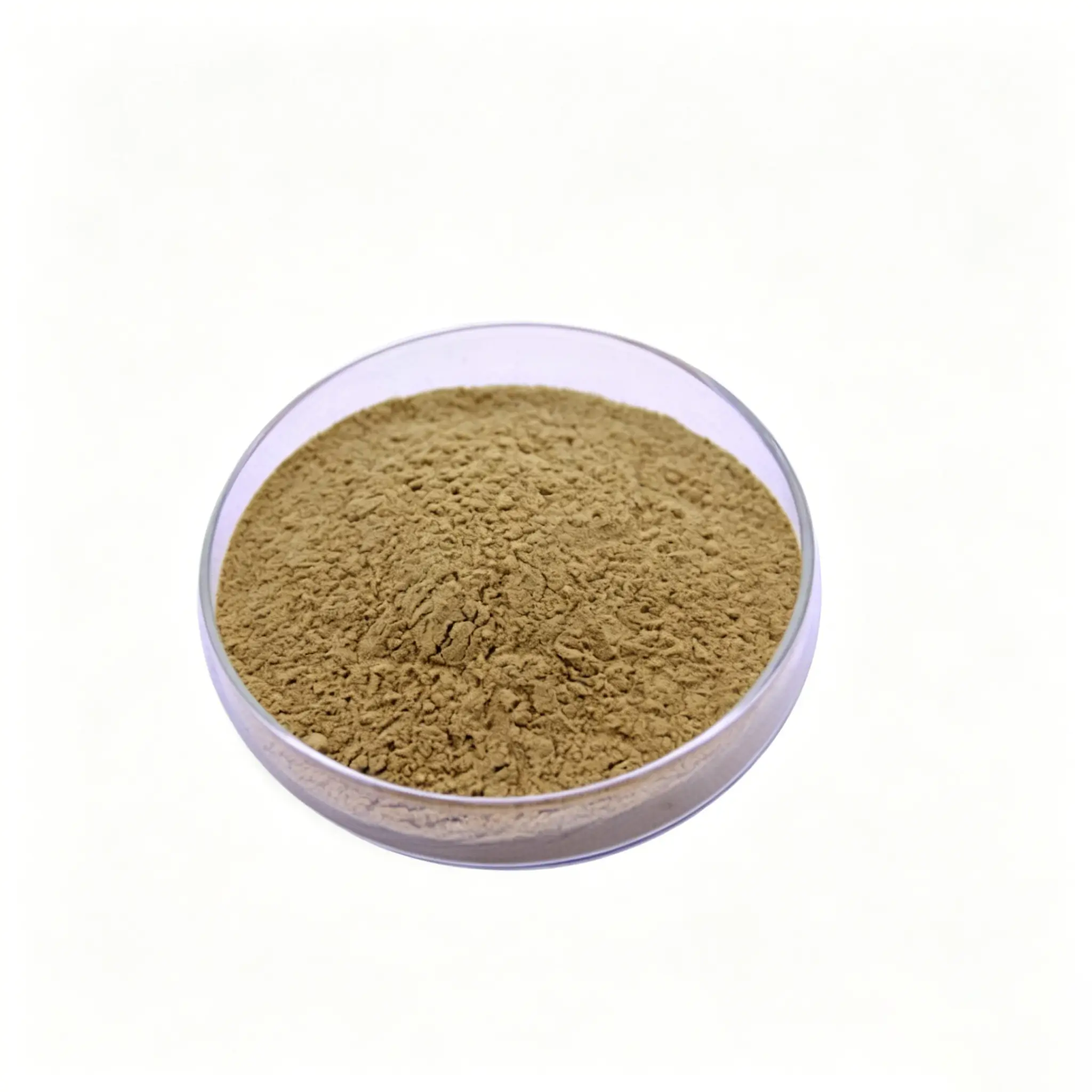 Wholesale Sheep Orchic Powder Manufacturer China