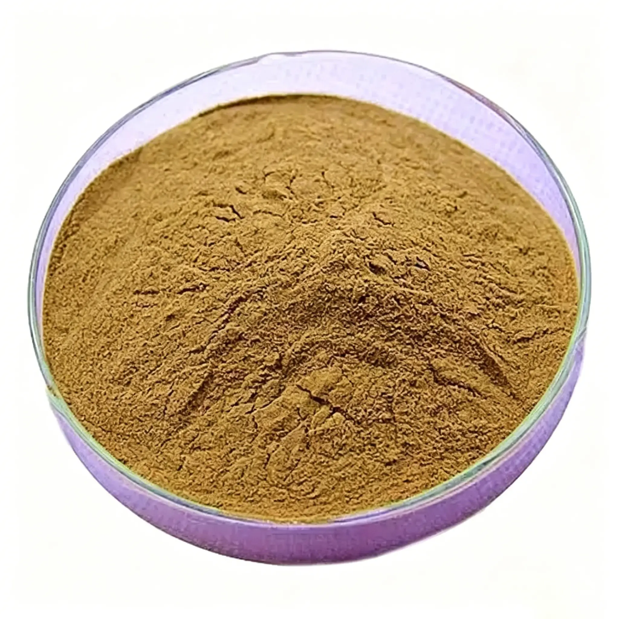 Wholesale Sheep Ovary Powder Supplier in China