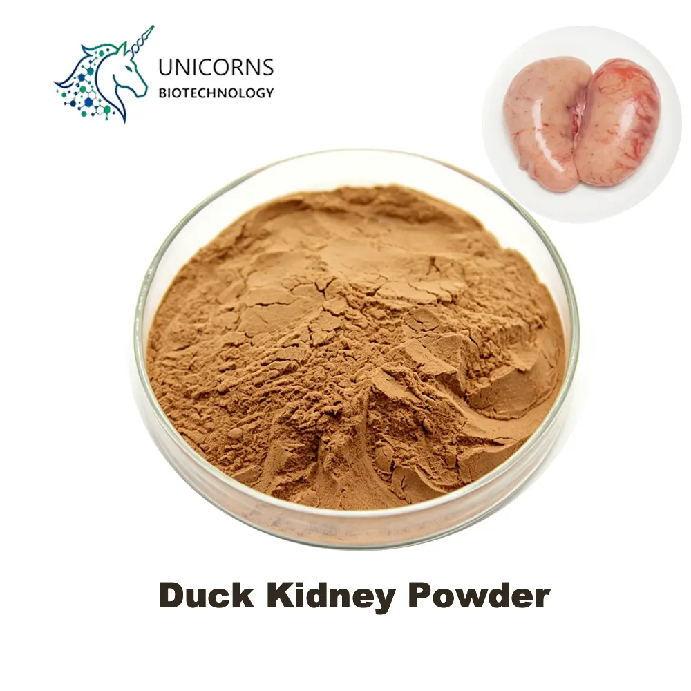 Bulk Duck Kindney Powder Manufacturer China