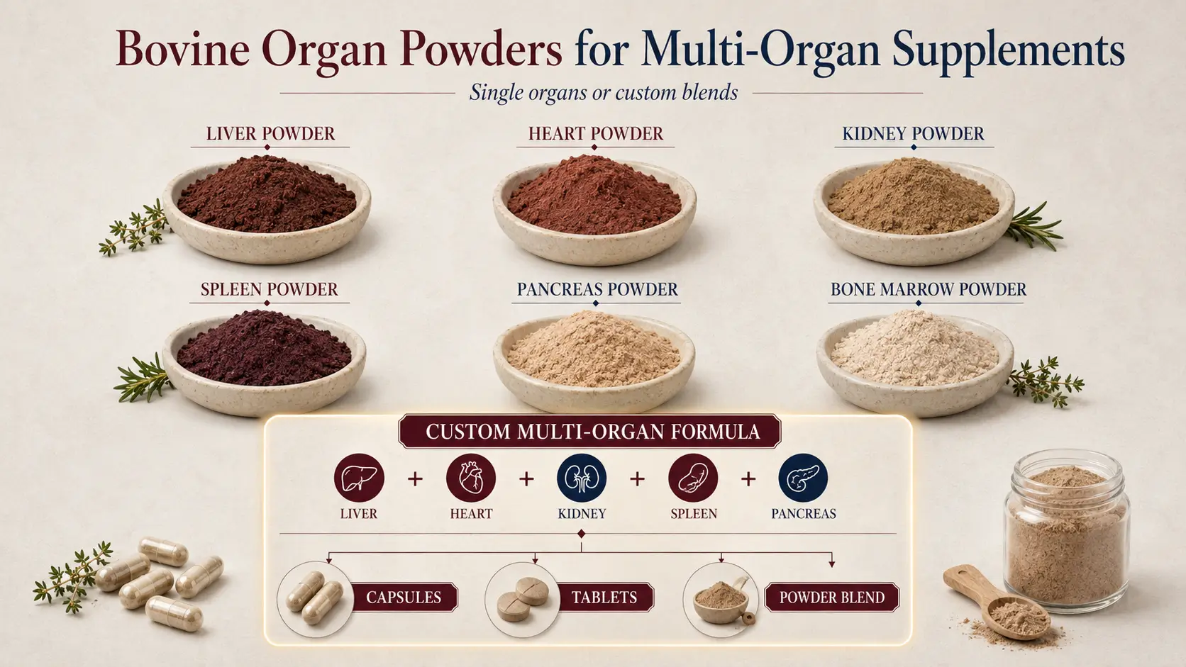 Bovine Organ Powders for Multi-Organ Supplements