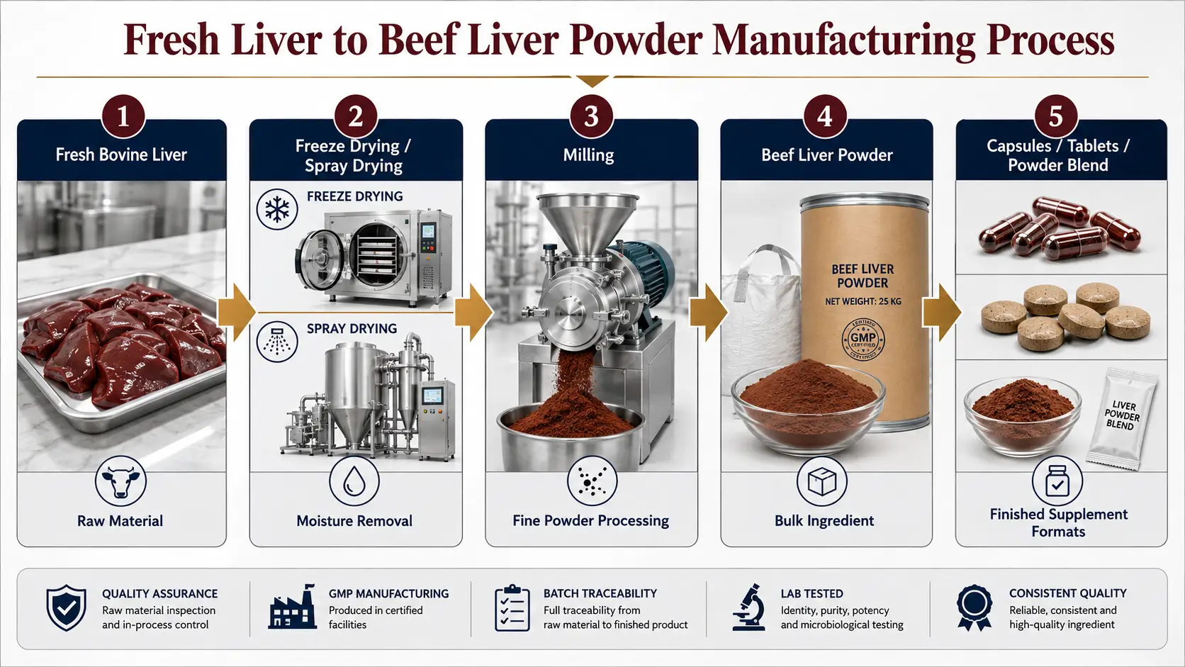 Fresh Liver to Beef Liver Powder Manufacturing Process