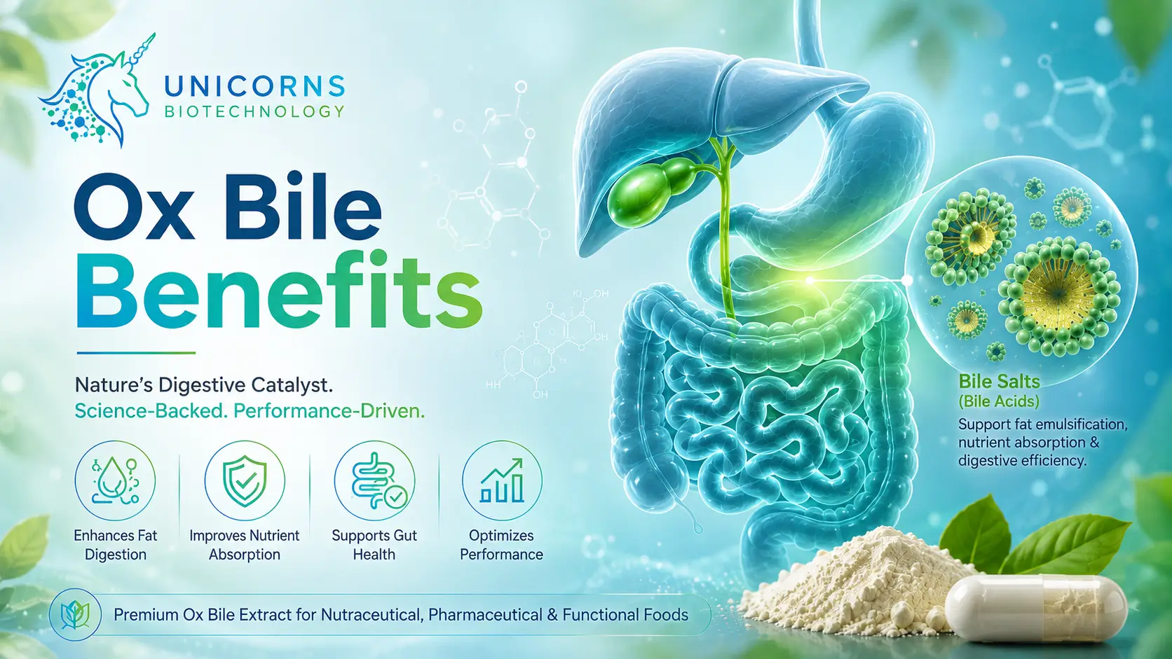 Ox Bile Benefits