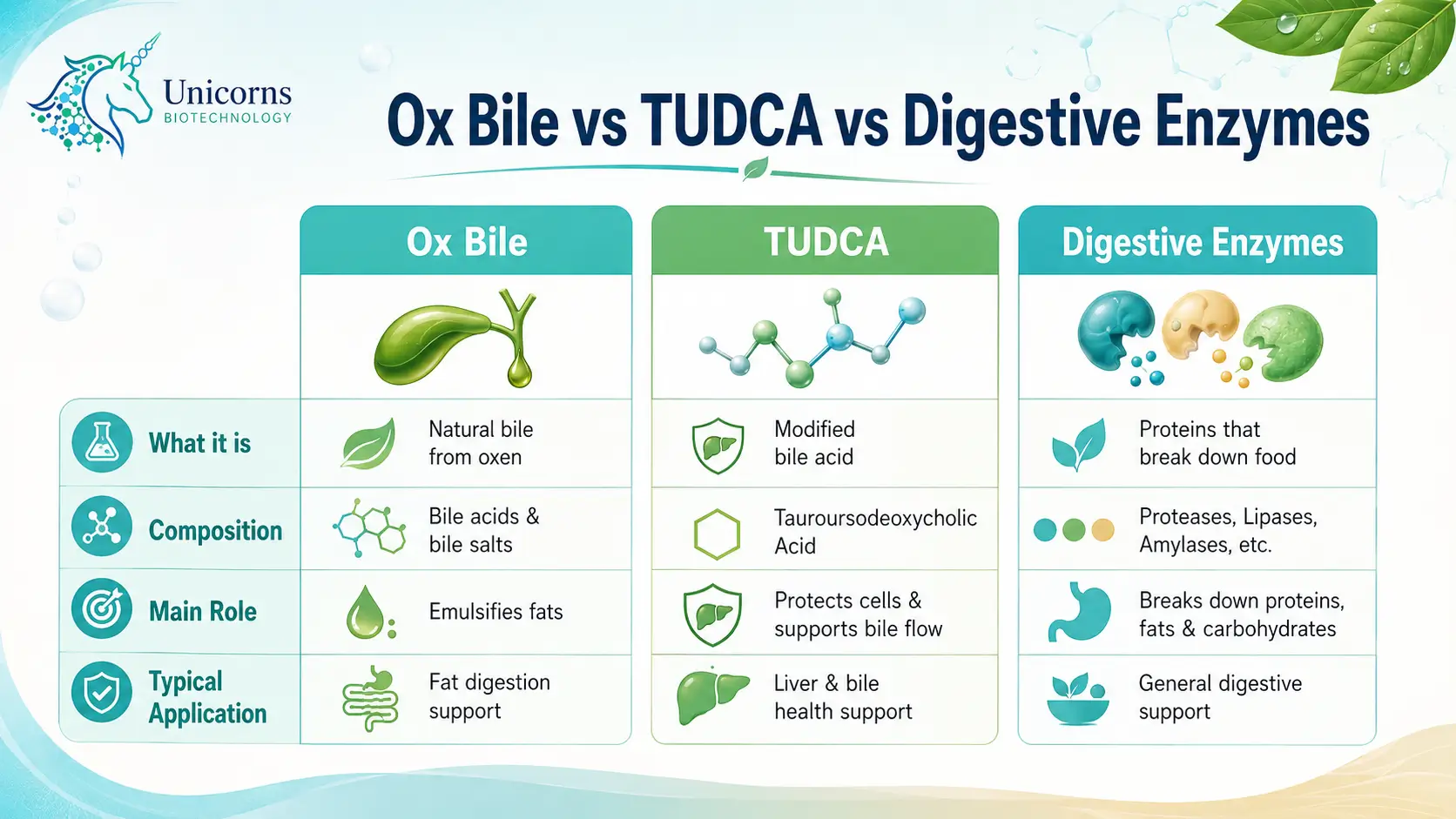 Ox Bile vs TUDCA vs Digestive Enzymes