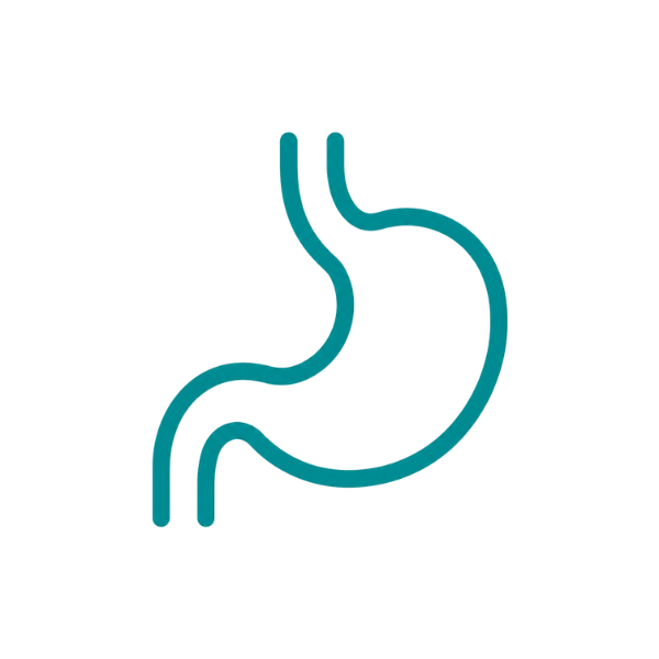Bulk Digestive Health Ingredients