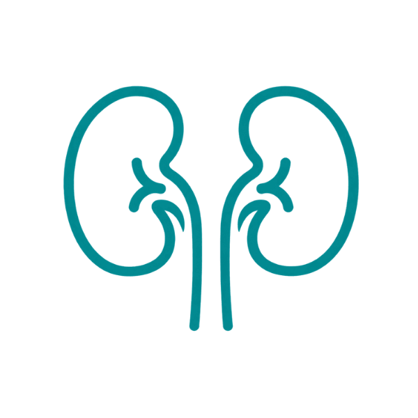 Bulk Kidney & Urinary Health Ingredients
