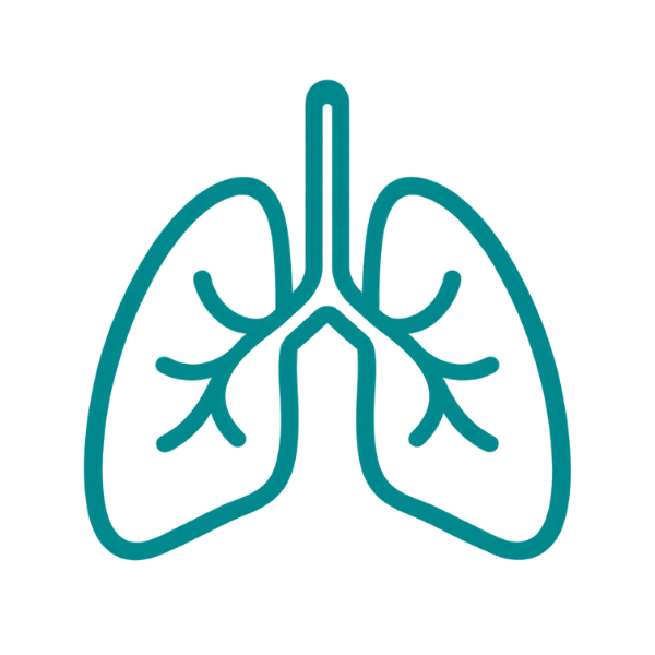 Bulk Respiratory Support Ingredients